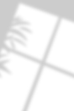 Minimal Window And Leaf Shadow Overlay
