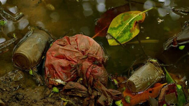 Plastic Litter in Brackish Water Mangrove Ecosystem Causing Ecological and Environmental Problems. Non Biodegradable Plastic Trash Accumulating in Mangrove Mudflat and Coastal Swamp Environment. 