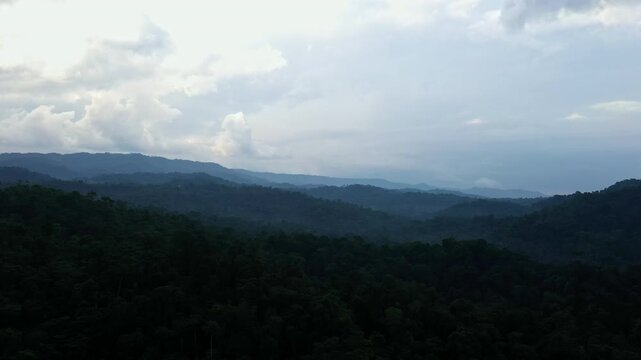 Silhouette of a tropical forest canopy before sunset sets in, nature background with loads of copyspace
