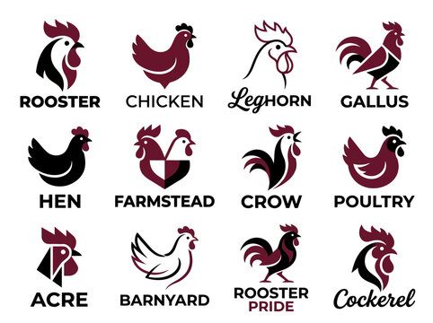 Set of 12 Modern Rooster and Chicken Logo Designs for Poultry Farm and Organic Food Branding
