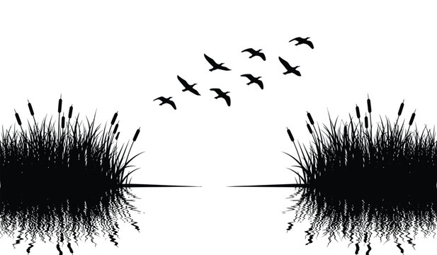 silhouette of flying birds over reeds and water with reflection black and white graphic high quality professional detailed modern elegant stylish clean crisp vibrant