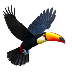 Naklejka premium An exotic tropical toucan with a colorful yellow bill and black feathers isolated on a white background in a vibrant wildlife vector style