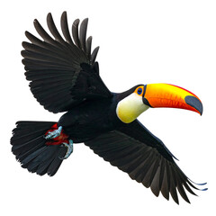 Naklejka premium An exotic tropical toucan with a colorful yellow bill and black feathers isolated on a white background in a vibrant wildlife vector style