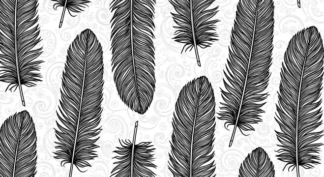 Intricate seamless pattern featuring various types of bird feathers with detailed plumes and quills in a black and white hand drawn style.