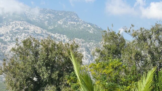 Tranquil landscape footage of a high mountain range seen through the branches of tropical and temperate trees. A perfect shot for projects focused on hiking, outdoor adventures.
