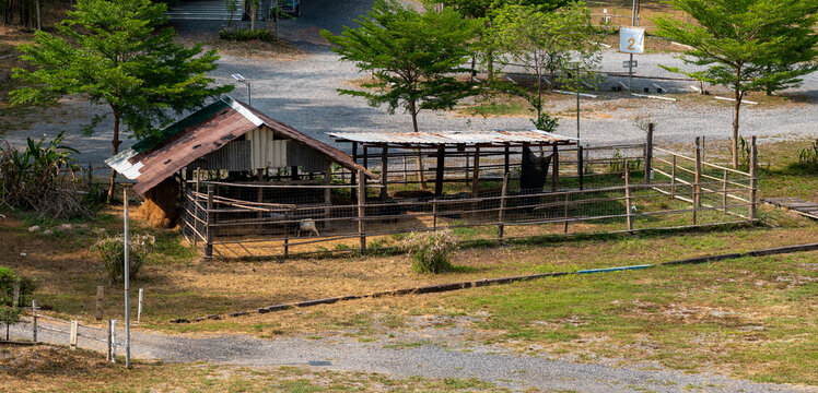 Thailand Farmland Buildings
