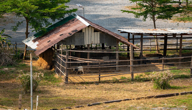Thailand Farmland Buildings