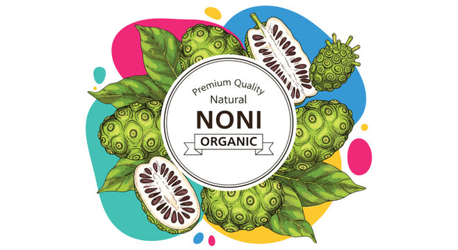 Organic noni fruit with leaves and seeds label design for healthy juice and food products on colorful background for superfoods.