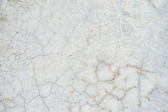 Texture of old gray concrete wall with algae for background. Cement grunge background with white empty.