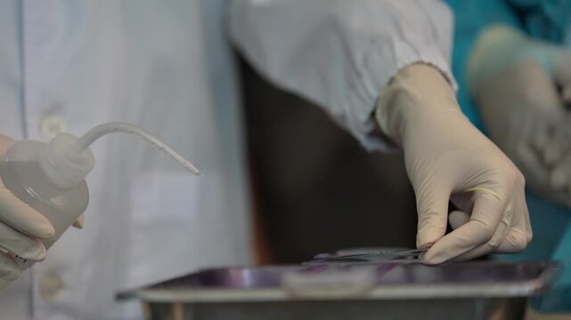 Laboratory slide staining gloved hand medical sample on glass slide with microscope liquid stain in clinical research setting for science and medical procedure