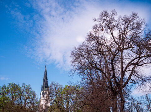 Neo-Gothic tower of the Church of the Assumption of the Virgin Mary in Spi&scaron;sk&aacute; Nov&aacute; Ves above trees, contrast of spring and bare branches, strong city landmark.