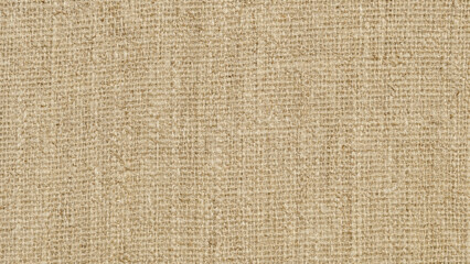 Fototapeta premium Linen Fabric Texture Background