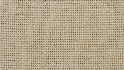 Fototapeta premium Burlap Texture Background