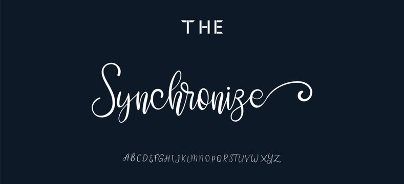 Hand drawn vector alphabet. Modern monoline signature script font. Elegant Signature Font. Best Alphabet Beautiful Calligraphy Signature Font