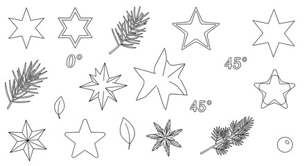 Obraz premium Set of diverse star outlines, detailed pine needle branches, and simple leaves illustrated in black and white.