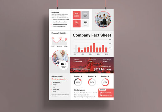 Company Fact Sheet Template