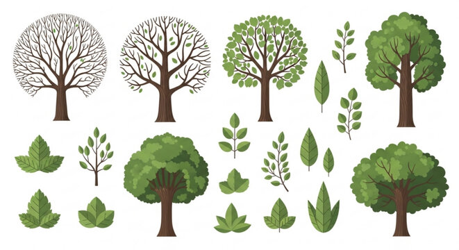 Set of stylized trees and leaves representing seasons and nature perfect for eco-friendly design and environmental concepts isolated on whit