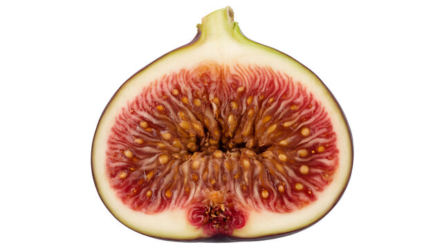A halved fig showcasing its vibrant red and yellow pulp and seeds on a white background