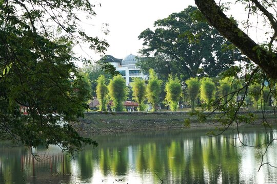 Tasik Taiping Lake Gardens Landscape