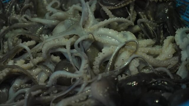 Cinematic slow motion of a massive amount of fresh webfoot octopuses squirming in a basket [4K]