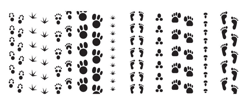 Hand Drawn Doodle Elements Set Creative Sketch Symbols Vector Collection