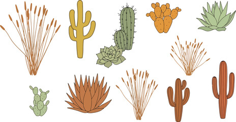 Fototapeta premium Collection of desert plants and cacti, including various species of succulents and drought-resistant flora, perfect for botanical illustrations and nature-themed designs