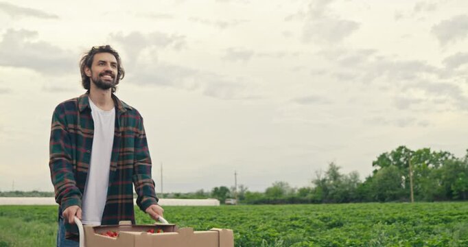 A man smiles as he pushes a cart loaded with boxes of strawberries across a field during harvest time on a cloudy day