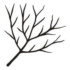 Fototapeta premium Bare autumn tree branch, vector hand drawn fall winter twig for seasonal design
