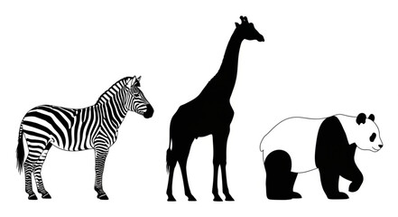 Silhouette of a zebra giraffe and panda standing together. © Fatah