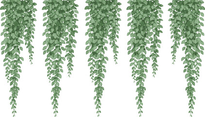   Vector illustration of five hanging vines with dense cascading green leaves in decorative arrangement © Sheikh