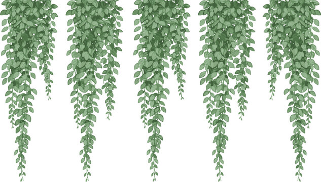   
Vector illustration of five hanging vines with dense cascading green leaves in decorative arrangement