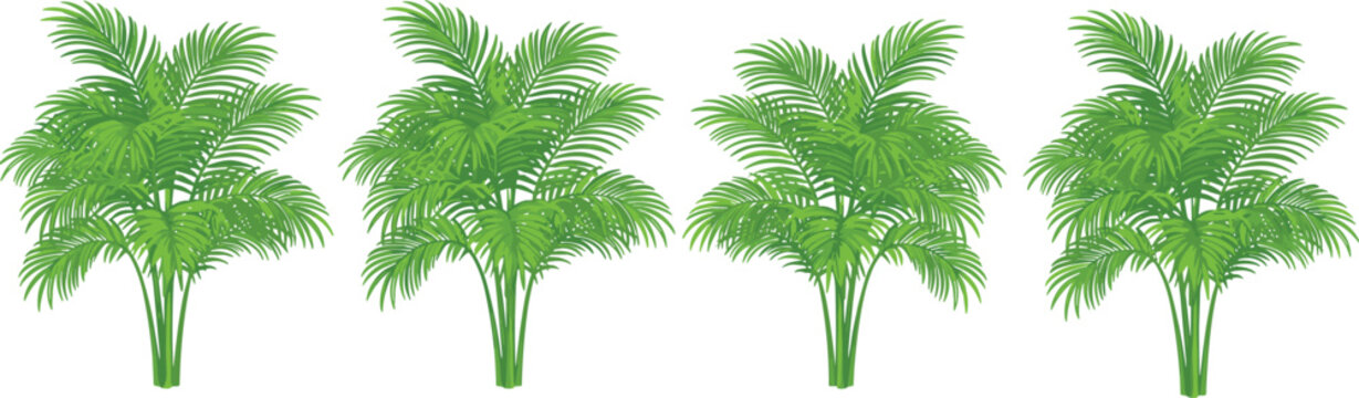 Vector illustration of four tropical plants with lush green fronds in symmetrical horizontal arrangement