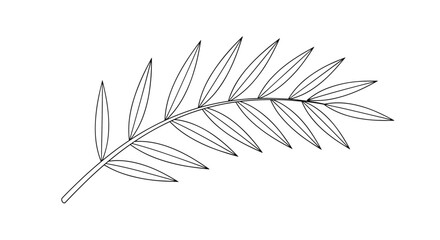 Fototapeta premium Simple black and white line drawing of a single tropical palm frond or fern branch isolated on white background.