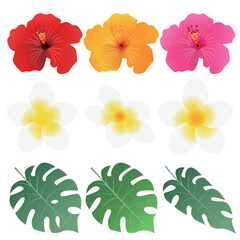 Naklejka premium Collection of tropical hibiscus plumeria flowers and monstera leaves