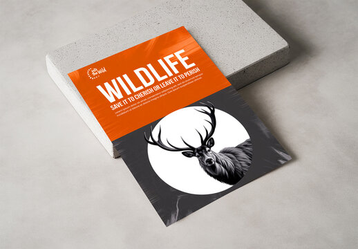 Realistic Vertical Flyer Mockup on Concrete