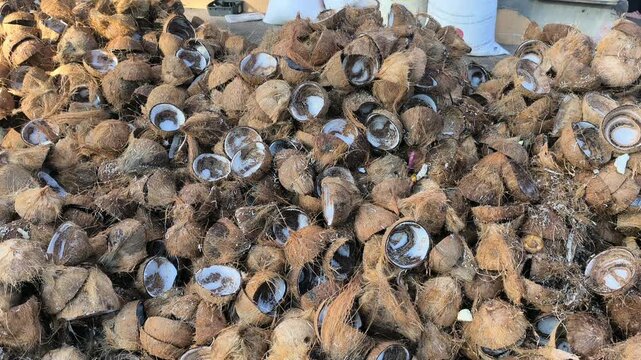 A large pile of discarded coconut shells sits at a collection point. These remains are gathered after milk extraction. They are ready for transport to a factory for recycling.