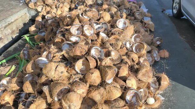 A large pile of discarded coconut shells sits at a collection point. These remains are gathered after milk extraction. They are ready for transport to a factory for recycling.