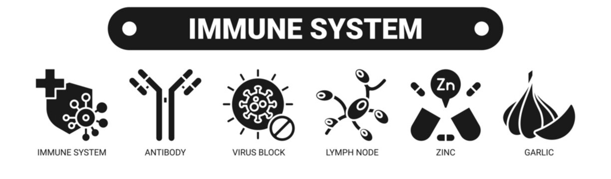 Immune System web banner icon vector illustration concept with icons of immune system, antibody, virus block, lymph node, zinc, and garlic.