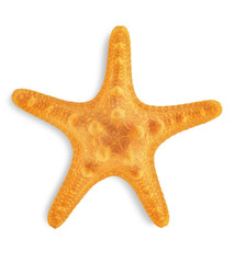 Orange starfish isolated on transparent  background. Top view © Milena Wi