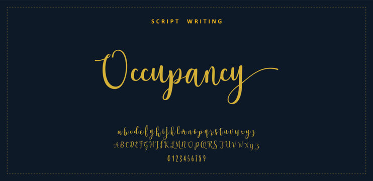 Hand drawn vector alphabet. Modern monoline signature script font. Elegant Signature Font. Best Alphabet Beautiful Calligraphy Signature Font