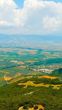 Vertical video. Lamia, Phthiotis, Greece. Panorama of the valley with fields. Olive trees, colorful fields. Summer, Cloudy weather. Drone footage. Rich colors