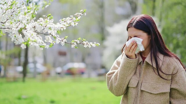 Experiencing discomfort from seasonal allergies, face displays suffering while sneezing and using tissue outdoors. Pollen causes irritation amidst blooming spring nature, unwellness and misery.