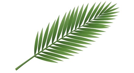 Fototapeta premium Vibrant green leaves of the tree a detailed botanical study of palm frond foliage