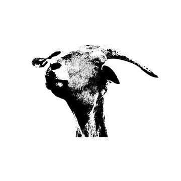 Goat Head Profile Vector: High-Contrast Livestock Portrait with Artistic Stippled Texture