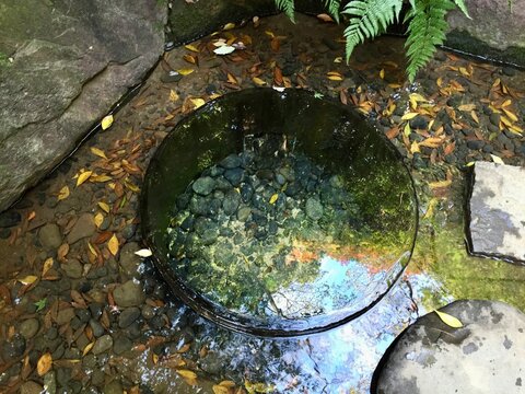 秋の日本庭園にある苔むした手水鉢と落ち葉