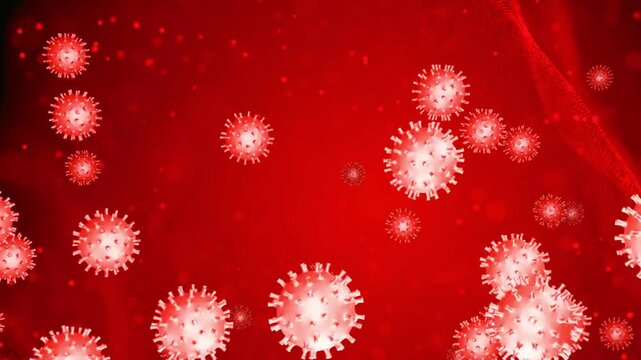 High-definition 3D animation of red coronavirus cells flowing through a blood stream or fluid environment.