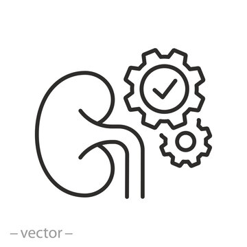 healthy work kidney system, icon, kidneys with gears, good functioning of the urinary system, thin line symbol on white background - editable stroke vector illustration eps10