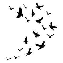 Fototapeta premium Flock Birds Flying Silhouette