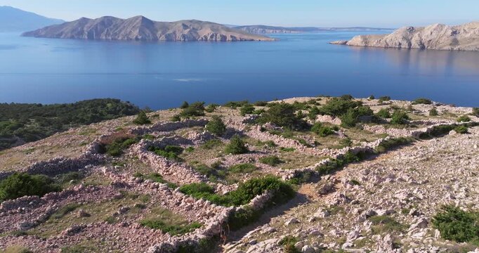 Rugged landscape with dry stone walls near Ba&scaron;ka, Krk Island, Croatia