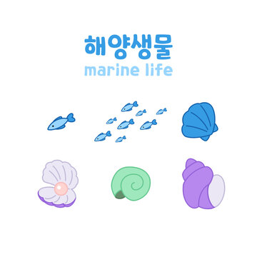 해양생물 세트